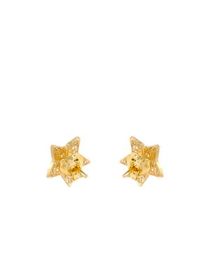 Brincos Estrelitas em filigrana (61334519825)
