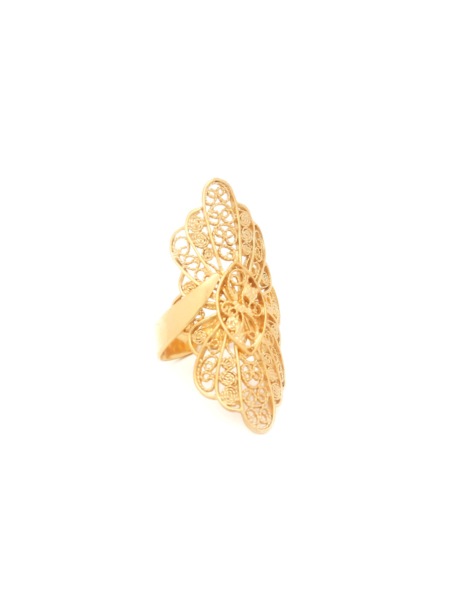 Bruma ring