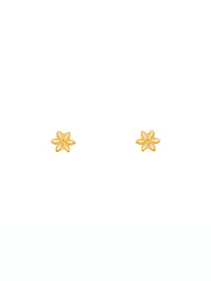 Brincos Invasão Floral S (4173343686715)