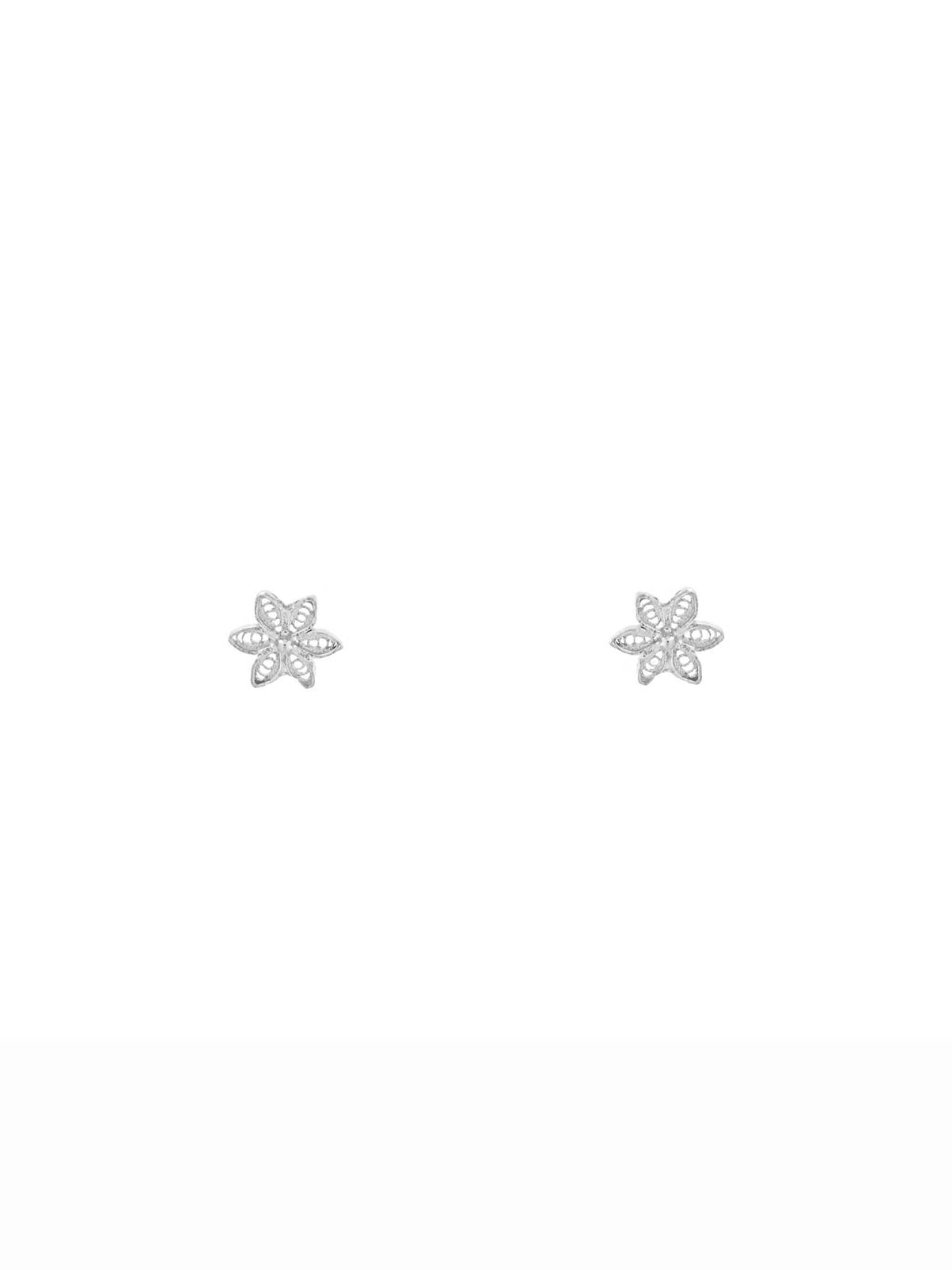 Brincos Invasão Floral S (4173343686715)