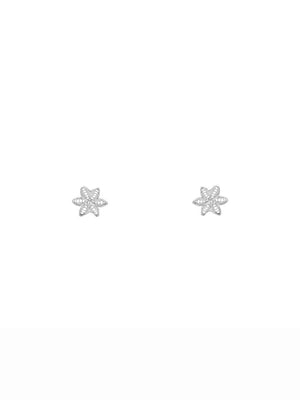 Brincos Invasão Floral S (4173343686715)