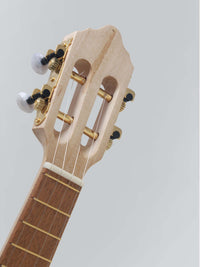 Trinador Cavaquinho